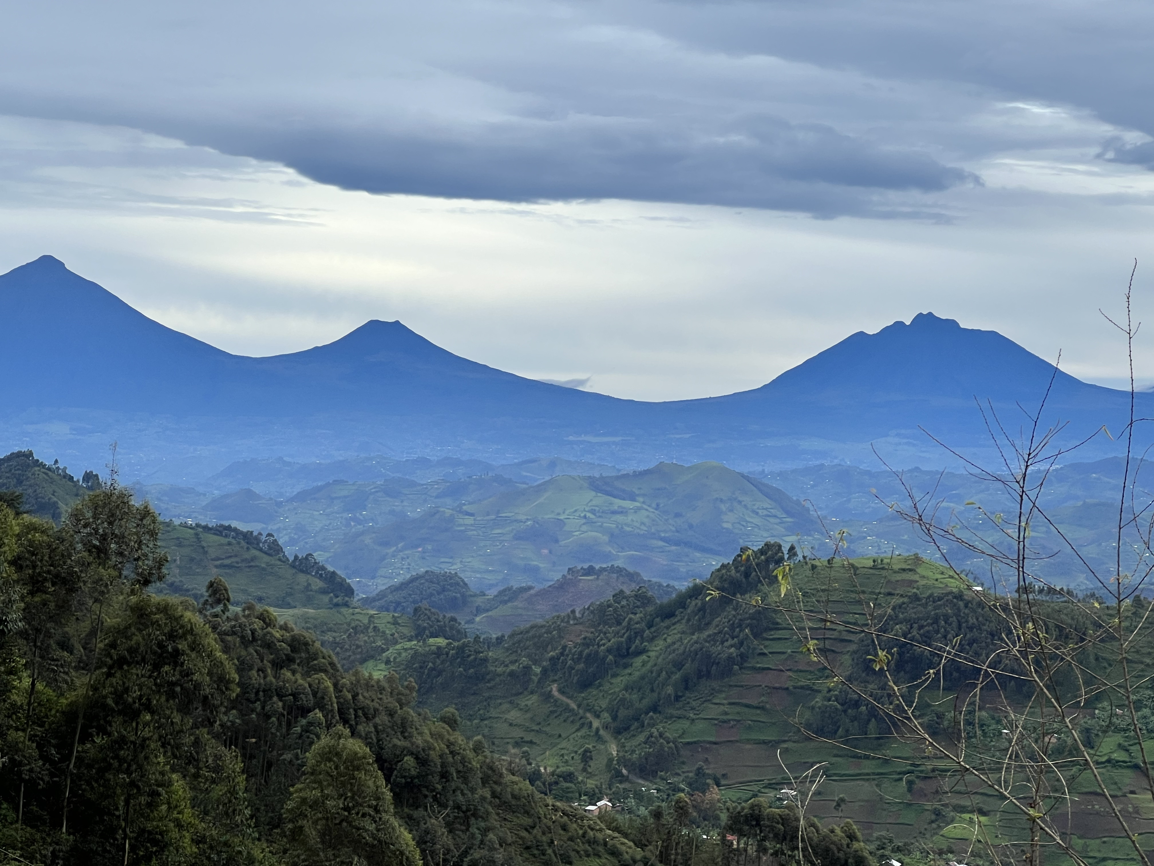 Uganda and Rwanda Grand Safari