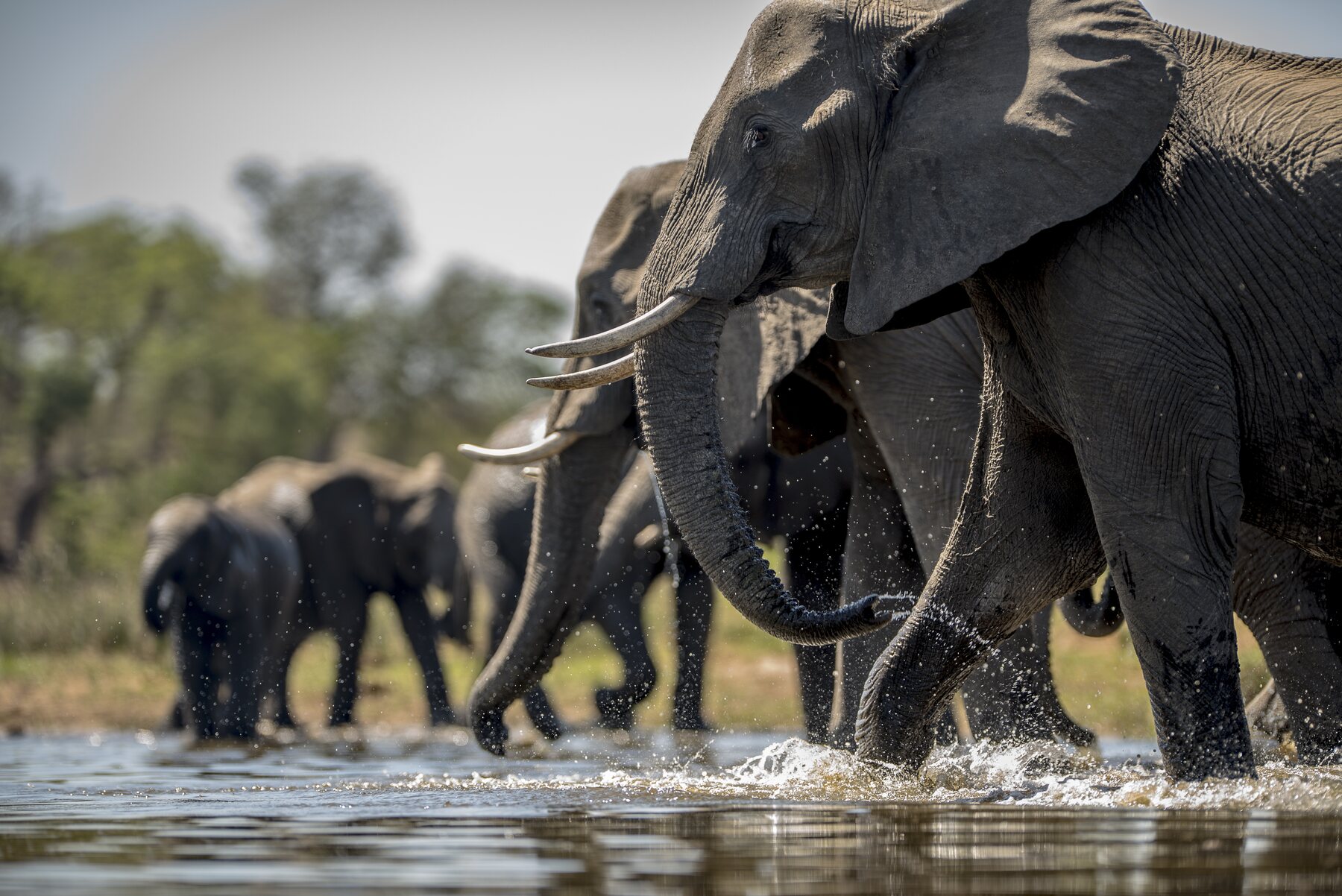 Uganda and Rwanda Discovery Safari