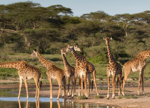 Ugalla River National Park