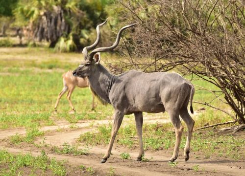 Ibanda Kyerwa National Park