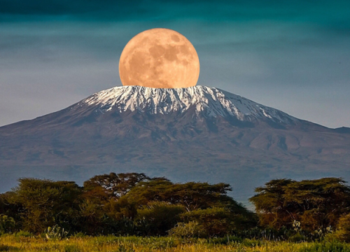 Kilimanjaro National Park