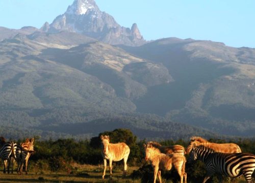 Mt.Kenya National Park