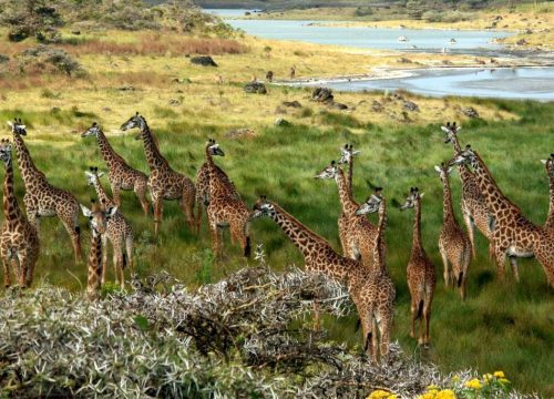 Arusha National Park