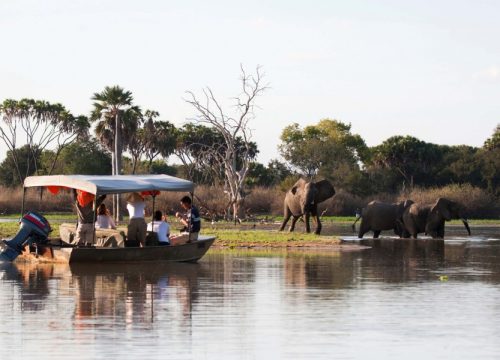 Nyerere National Park