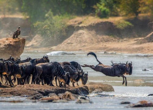 Serengeti National Park