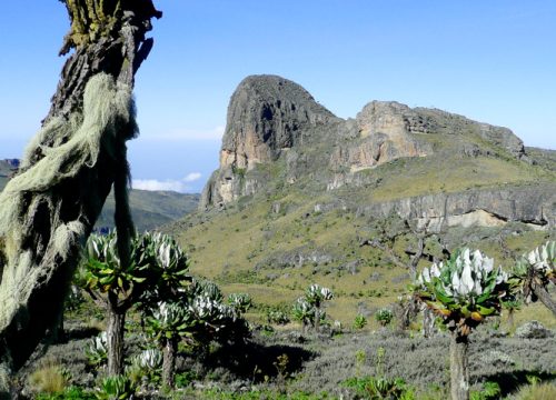 Mountain Elgon National Park